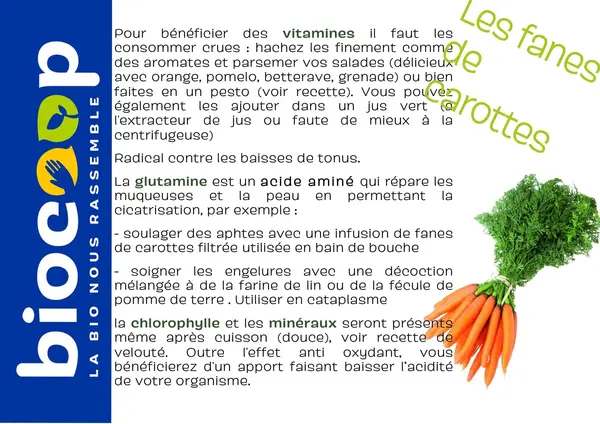 Velouté de fanes de legumes